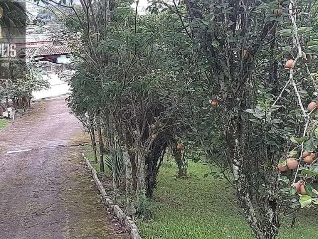 Sítio e chácara venda em Região Geográfica Imediata de Itajaí, Itajaí