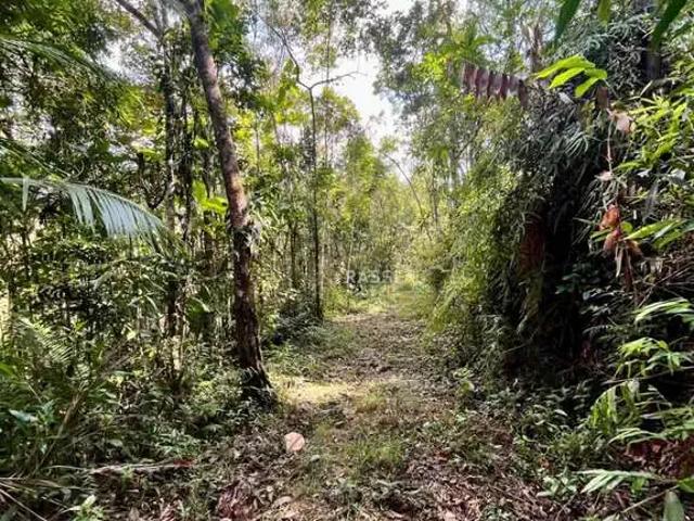 Sítio e chácara venda em Região Geográfica Imediata de Itajaí, Itajaí