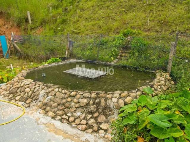 Sítio e chácara venda em Rio do Meio, Itajaí