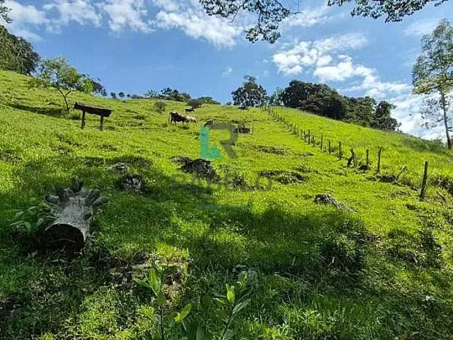 Sítio e chácara venda em Região Geográfica Imediata de Itajubá, Itajubá