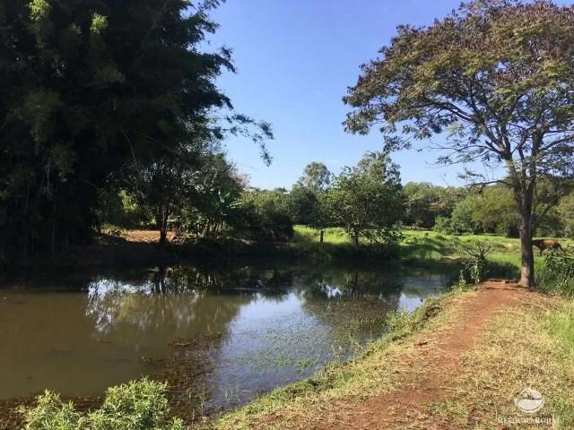 Sítio e chácara venda em Região Geográfica Imediata de Cornélio Procópio-Bandeirantes, Itambaracá