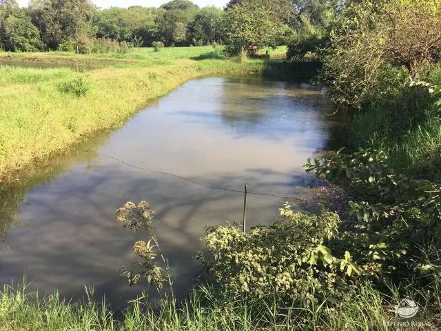 Sítio e chácara venda em Região Geográfica Imediata de Cornélio Procópio-Bandeirantes, Itambaracá