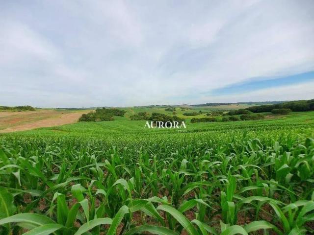 Sítio e chácara venda em Região Geográfica Imediata de Maringá, Itambé