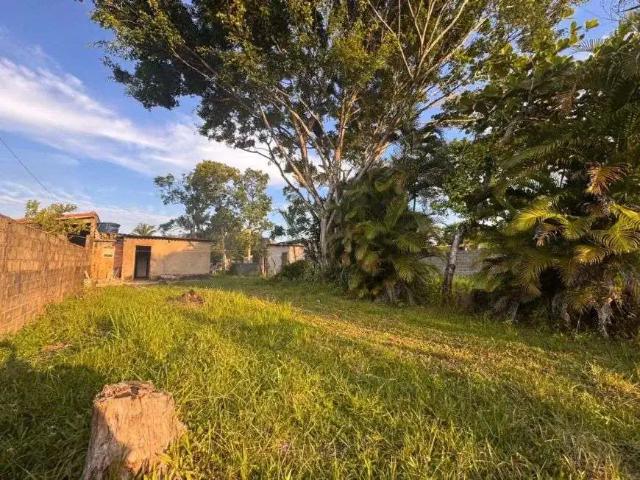 Sítio e chácara venda em Belas Artes, Itanhaém