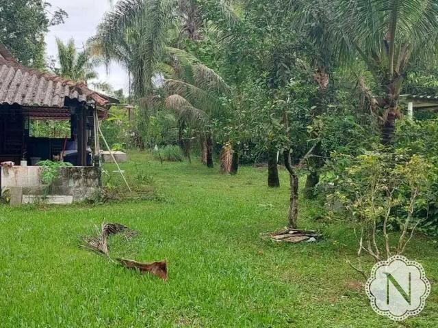 Sítio e chácara venda em Região Imediata de Santos, Região Metropolitana da Baixada Santista