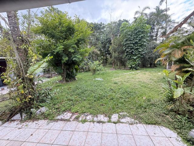 Sítio e chácara venda em Itanhaém