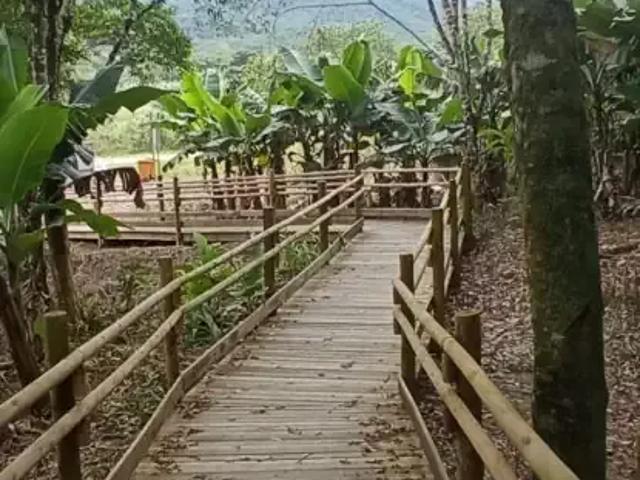 Sítio e chácara venda em Itanhaém