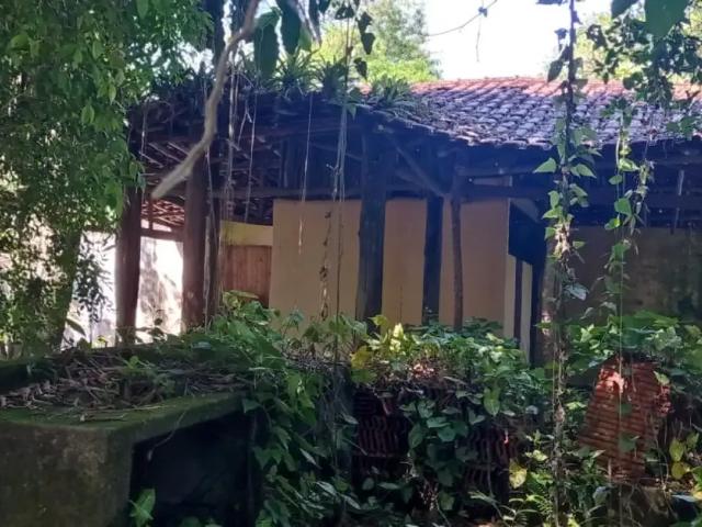Sítio e chácara venda em Região Imediata de Santos, Região Metropolitana da Baixada Santista