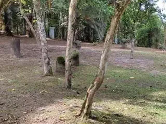 Sítio e chácara venda em Região Imediata de Santos, Região Metropolitana da Baixada Santista