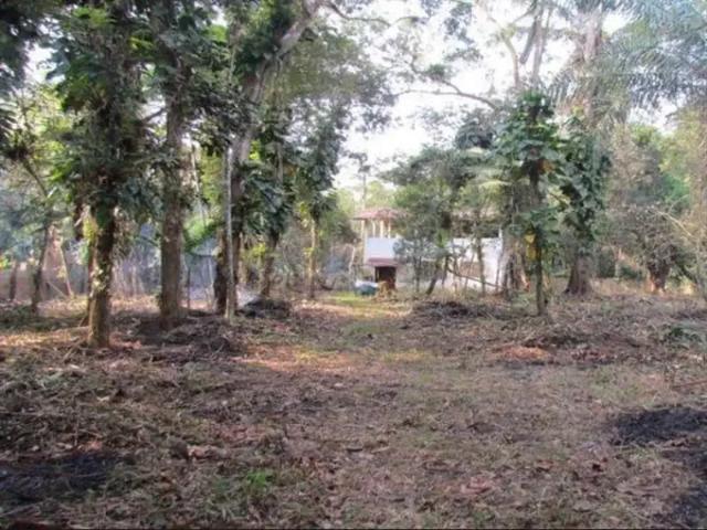 Sítio e chácara venda em Região Imediata de Santos, Região Metropolitana da Baixada Santista
