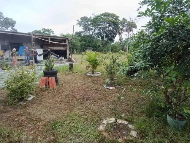 Sítio e chácara venda em Região Imediata de Santos, Região Metropolitana da Baixada Santista