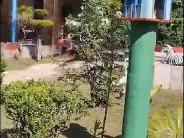 Sítio e chácara venda em Região Imediata de Santos, Região Metropolitana da Baixada Santista