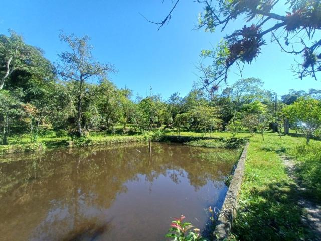 Sítio e chácara venda em Região Imediata de Santos, Região Metropolitana da Baixada Santista
