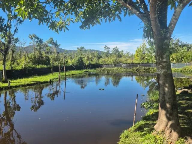Sítio e chácara venda em Região Imediata de Santos, Região Metropolitana da Baixada Santista