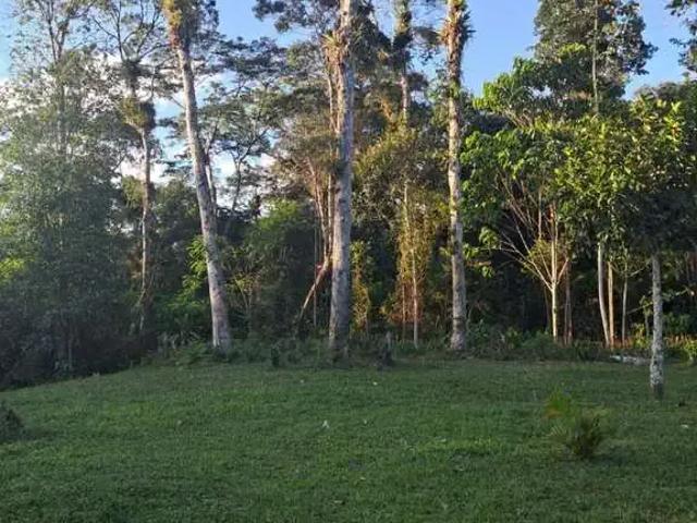 Sítio e chácara venda em Região Imediata de Santos, Região Metropolitana da Baixada Santista