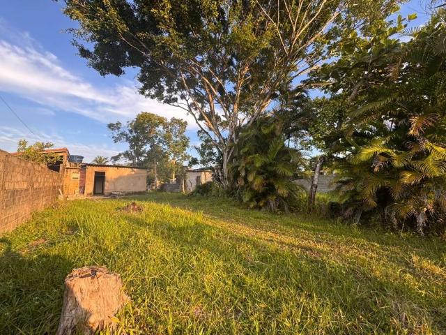 Sítio e chácara venda em Balneário Gaivota, Itanhaém