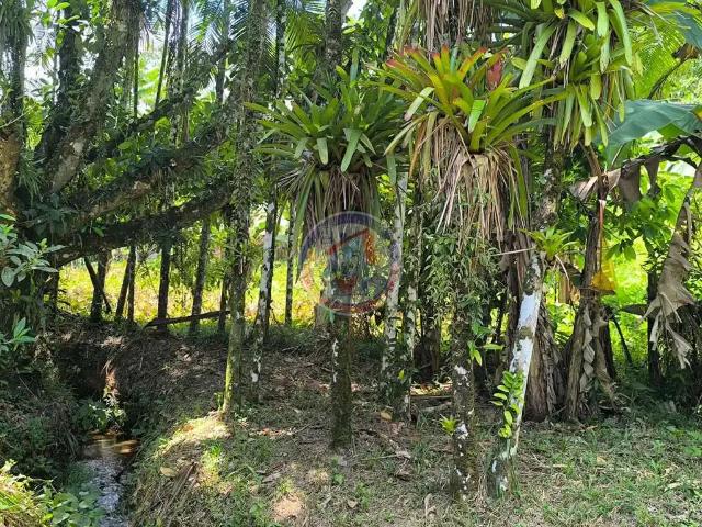 Sítio e chácara venda em Itanhaém