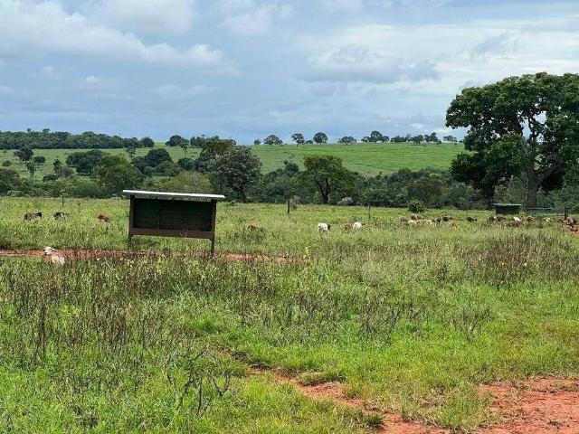 Sítio e chácara venda em Região Geográfica Imediata de Frutal, Itapagipe