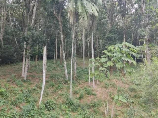 Sítio e chácara venda em Itapecerica da Serra