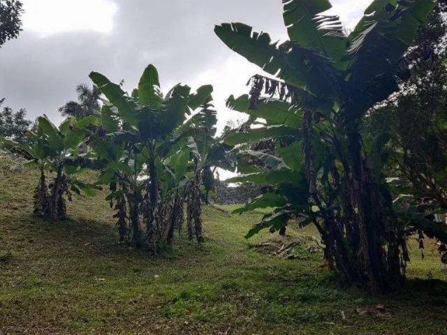 Sítio e chácara venda em Jardim Jacira, Itapecerica da Serra