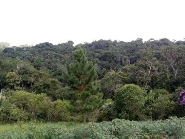 Sítio e chácara venda em Região Imediata de São Paulo, Região Metropolitana de São Paulo