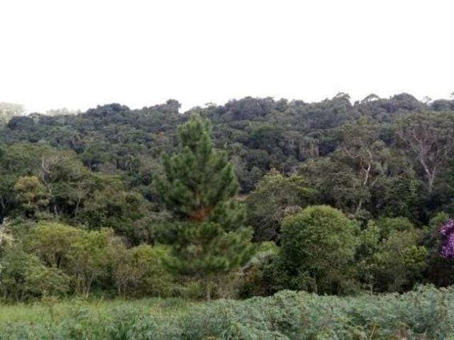 Sítio e chácara venda em Itapecerica da Serra