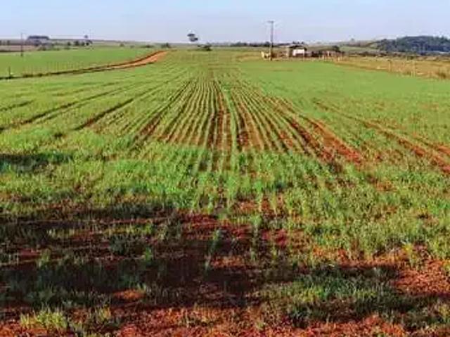 Sítio e chácara venda em Região Imediata de Itapetininga, Região Metropolitana de Sorocaba