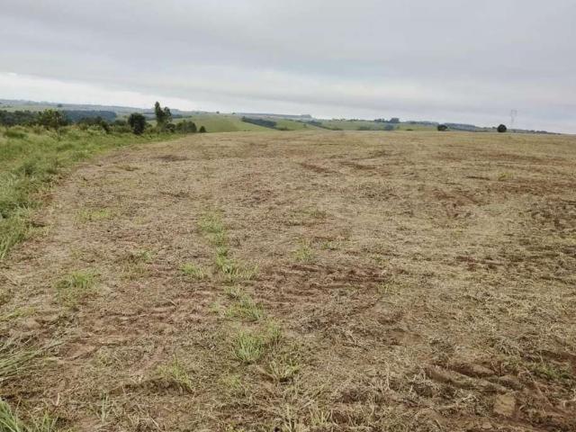 Sítio e chácara venda em Região Imediata de Itapetininga, Região Metropolitana de Sorocaba