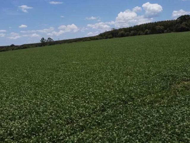 Sítio e chácara venda em Itapetininga