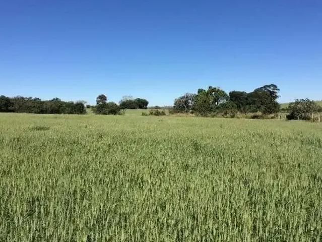Sítio e chácara venda em Região Imediata de Itapetininga, Região Metropolitana de Sorocaba
