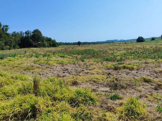 Sítio e chácara venda em Região Imediata de Itapetininga, Região Metropolitana de Sorocaba
