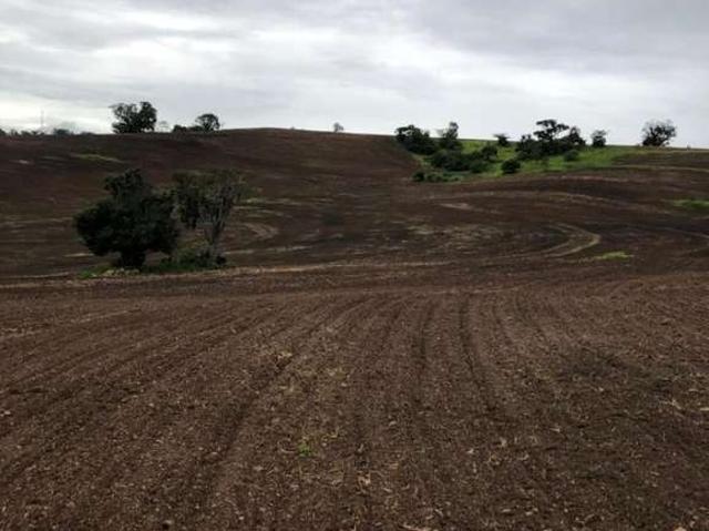 Sítio e chácara venda em Região Imediata de Itapetininga, Região Metropolitana de Sorocaba