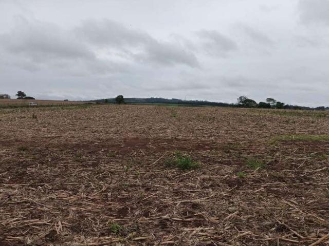 Sítio e chácara venda em Itapetininga