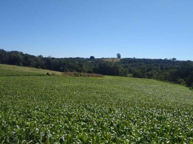 Sítio e chácara venda em Itapetininga