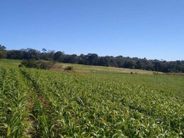 Sítio e chácara venda em Região Imediata de Itapetininga, Região Metropolitana de Sorocaba