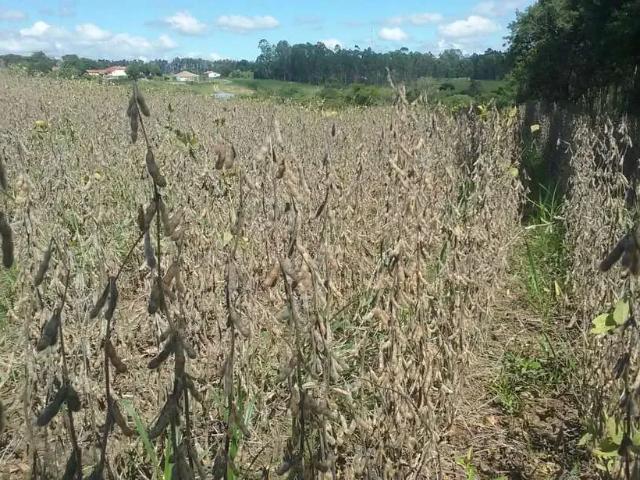 Sítio e chácara venda em Região Imediata de Itapetininga, Região Metropolitana de Sorocaba
