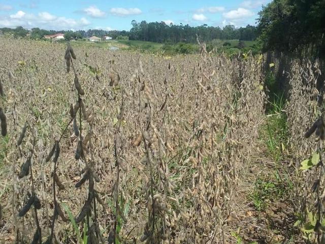 Sítio e chácara venda em Região Imediata de Itapetininga, Região Metropolitana de Sorocaba