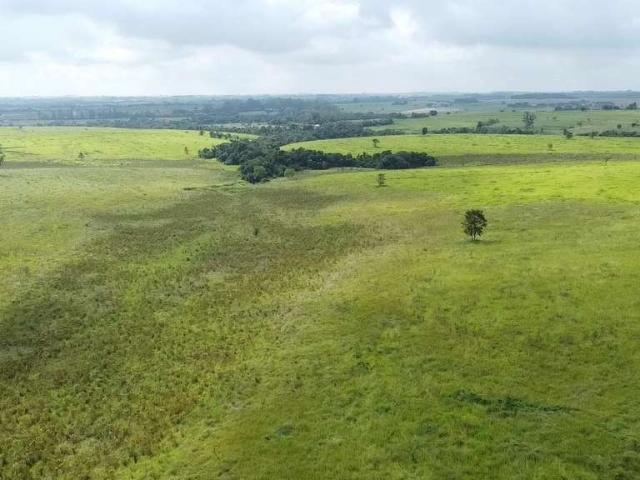 Sítio e chácara venda em Região Imediata de Itapetininga, Região Metropolitana de Sorocaba