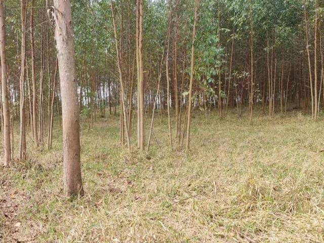 Sítio e chácara venda em Região Imediata de Itapetininga, Região Metropolitana de Sorocaba