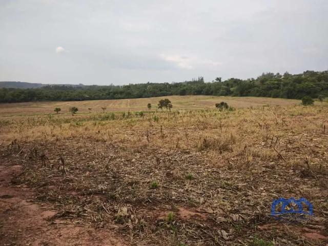 Sítio e chácara venda em Região Imediata de Itapetininga, Região Metropolitana de Sorocaba