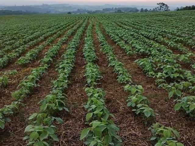 Sítio e chácara venda em Região Imediata de Itapetininga, Região Metropolitana de Sorocaba