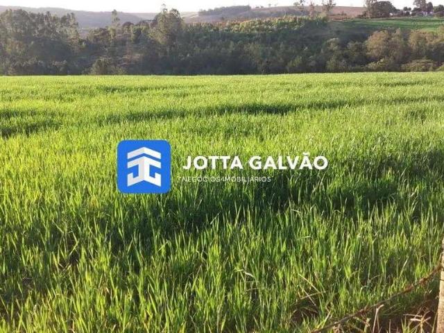 Sítio e chácara venda em Itapetininga