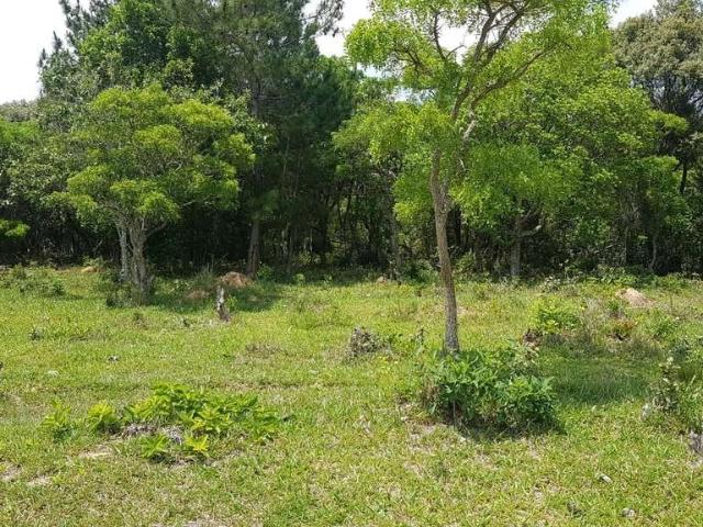 Sítio e chácara venda em Região Imediata de Itapetininga, Região Metropolitana de Sorocaba