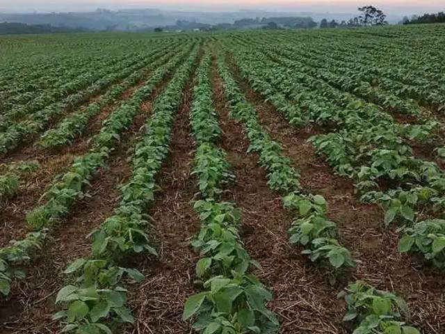 Sítio e chácara venda em Região Imediata de Itapetininga, Região Metropolitana de Sorocaba