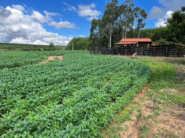 Sítio e chácara venda em Região Imediata de Itapetininga, Região Metropolitana de Sorocaba