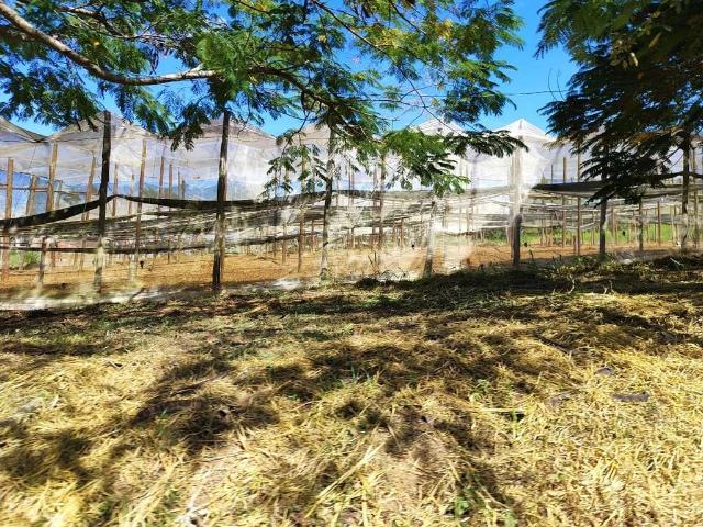 Sítio e chácara venda em Região Imediata de Itapetininga, Região Metropolitana de Sorocaba