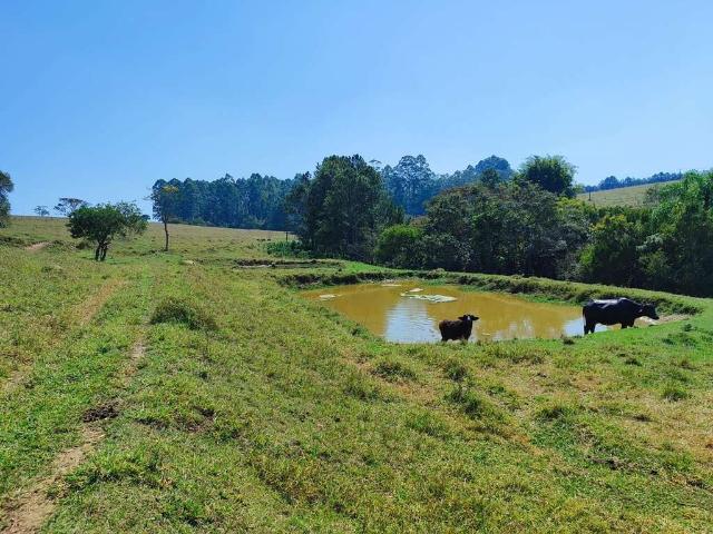 Sítio e chácara venda em Região Imediata de Itapetininga, Região Metropolitana de Sorocaba