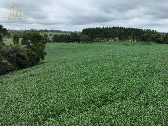 Sítio e chácara venda em Itapetininga