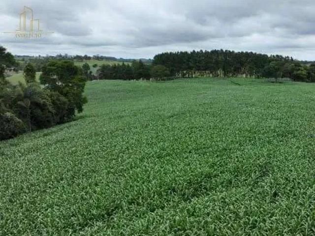 Sítio e chácara venda em Região Imediata de Itapetininga, Região Metropolitana de Sorocaba