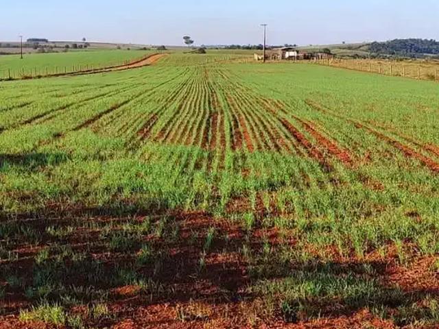 Sítio e chácara venda em Itapetininga